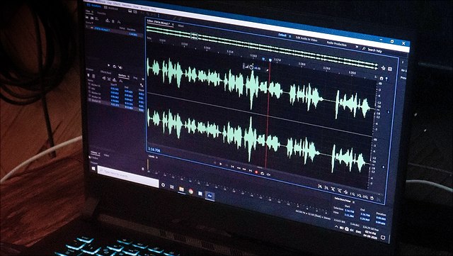 Monitor mit Oszillogramm.