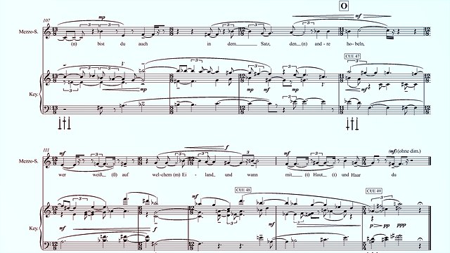 Part of the Score 'Sich einstellender Sinn' by the composer Eres Holz